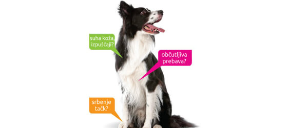 alergije na hrano predavanje